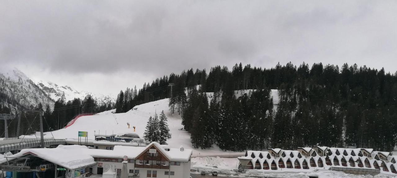 Apartment Golf Campiglio / Luxapt / Fronte Piste-impianti-golf *