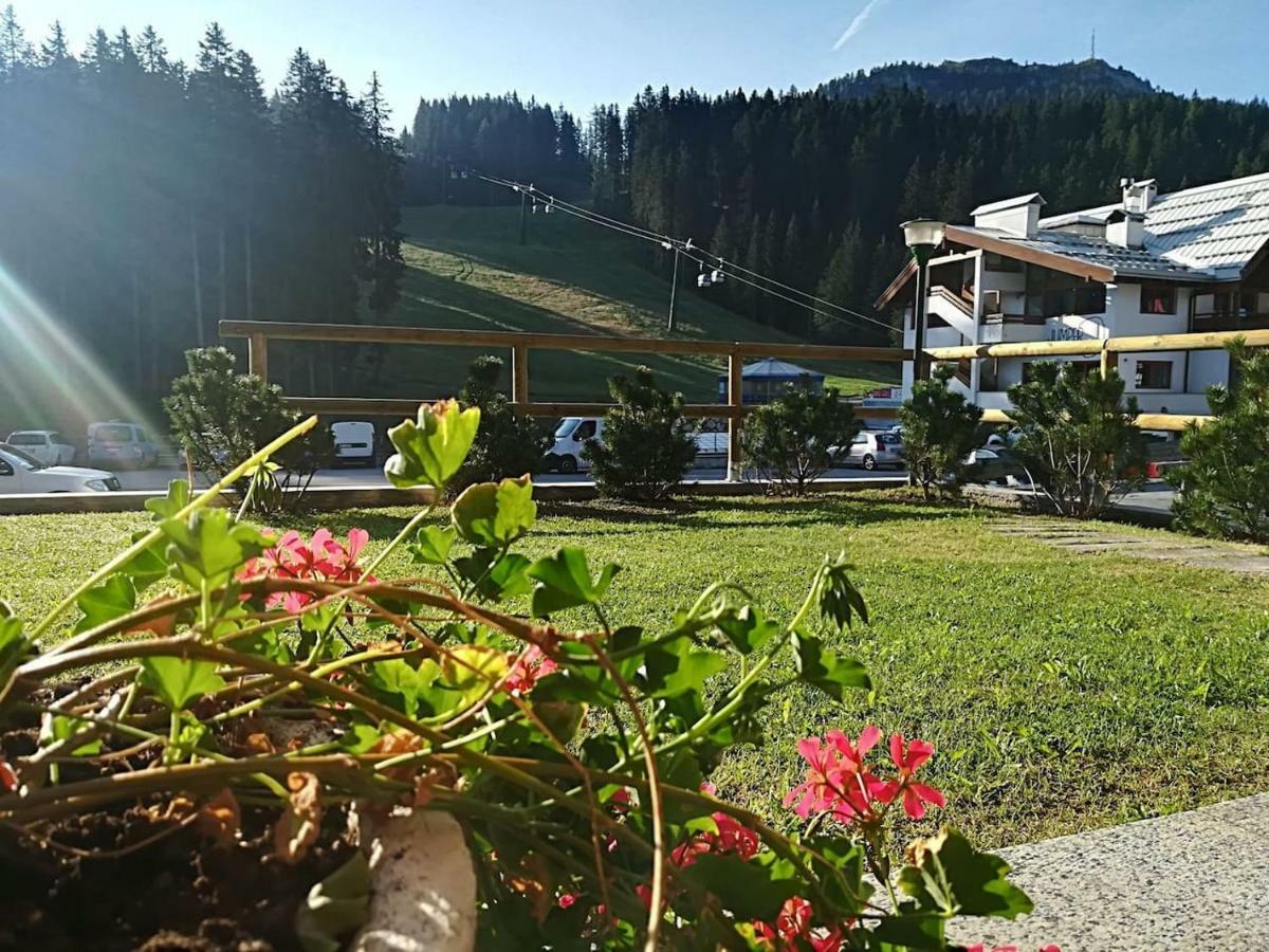 Golf Campiglio / Luxapt / Fronte Piste-impianti-golf